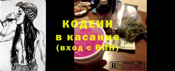 ГАЛЛЮЦИНОГЕННЫЕ ГРИБЫ Абаза