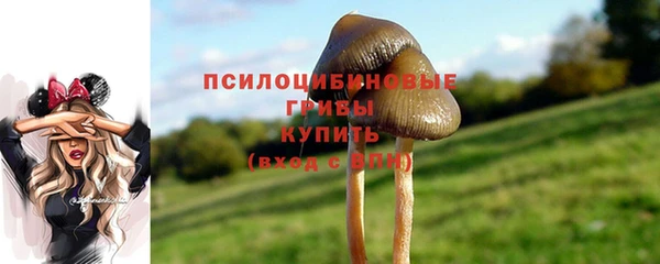 ГАЛЛЮЦИНОГЕННЫЕ ГРИБЫ Абаза