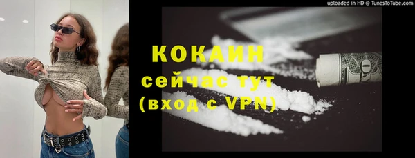 ГАЛЛЮЦИНОГЕННЫЕ ГРИБЫ Абаза