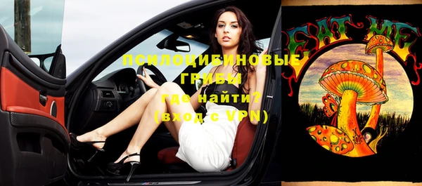 ГАЛЛЮЦИНОГЕННЫЕ ГРИБЫ Абаза